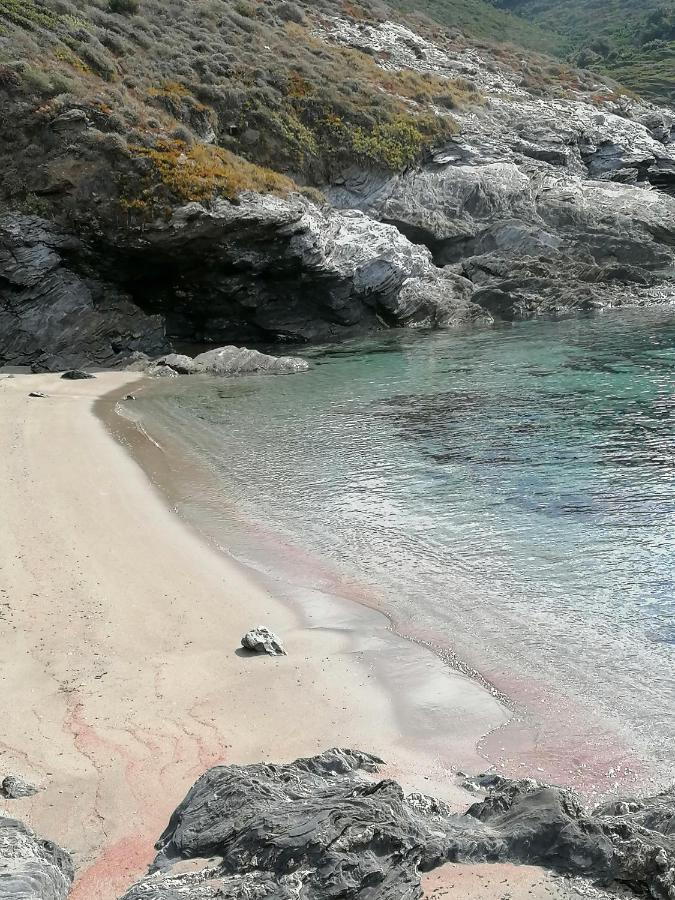 Coin De Paradis Vue Dominante Sur Mer, Montagne Et Tour Genoise Avec Jacuzzi Pino Exterior foto