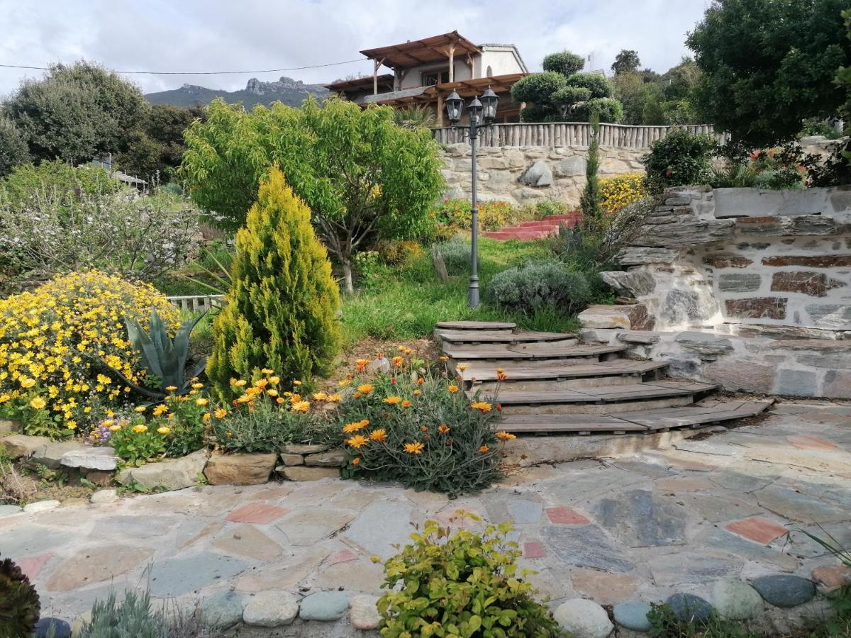 Coin De Paradis Vue Dominante Sur Mer, Montagne Et Tour Genoise Avec Jacuzzi Pino Exterior foto